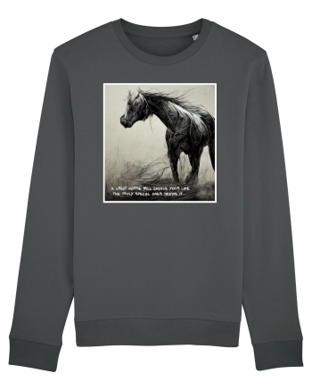 horse change lifes  Anthracite