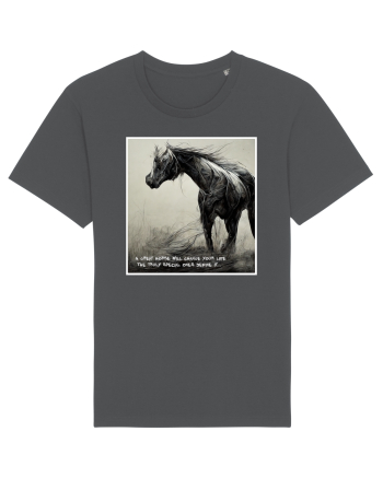 horse change lifes  Anthracite