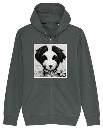 little puppy Anthracite