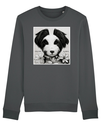 little puppy Anthracite
