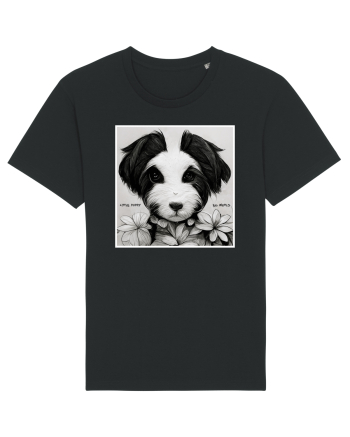 little puppy Black