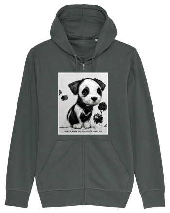 catel acasa Anthracite