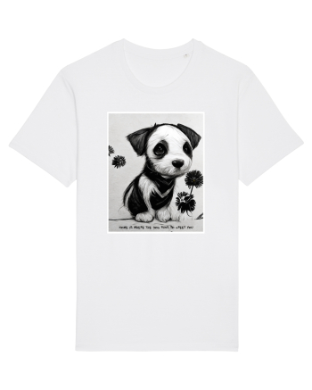 catel acasa White