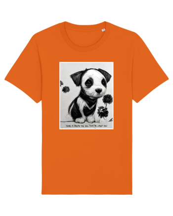 catel acasa Bright Orange