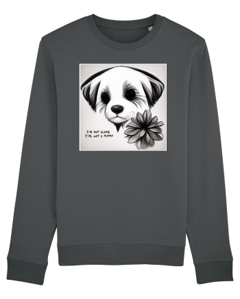 not alone Anthracite