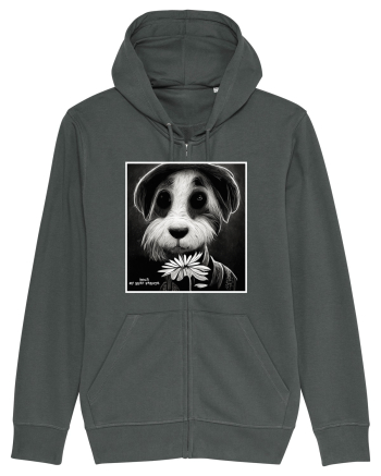 dogs best friends Anthracite