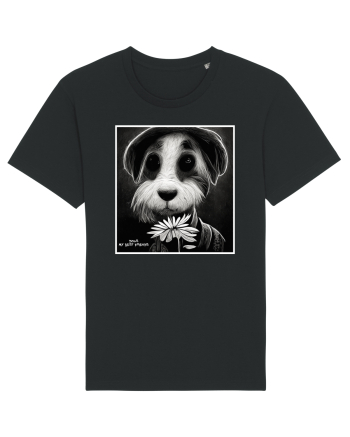 dogs best friends Black