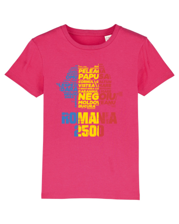 Pentru montaniarzi - Romania 2500 - 13 Varfuri cucerite II Raspberry