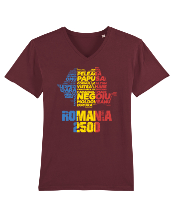 Pentru montaniarzi - Romania 2500 - 13 Varfuri cucerite II Burgundy