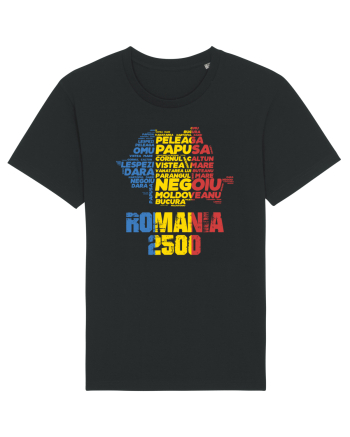 Pentru montaniarzi - Romania 2500 - 13 Varfuri cucerite II Black