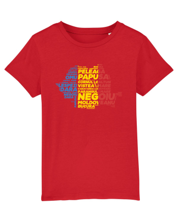Pentru montaniarzi - Romania 2500 - 13 Varfuri cucerite Red
