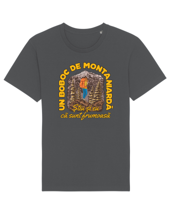 Un boboc de montaniardă Anthracite