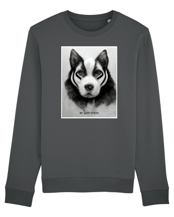 husky dog Anthracite