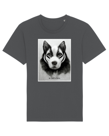 husky dog Anthracite