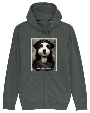 boss dog Anthracite