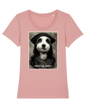 boss dog Canyon Pink
