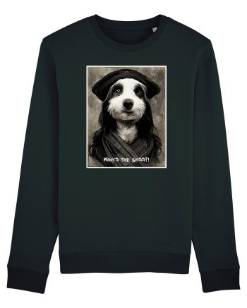 boss dog Black