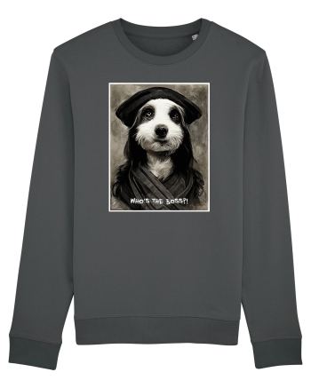 boss dog Anthracite