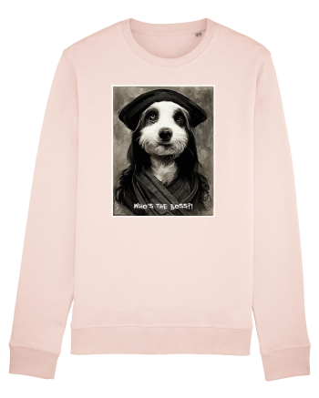 boss dog Candy Pink