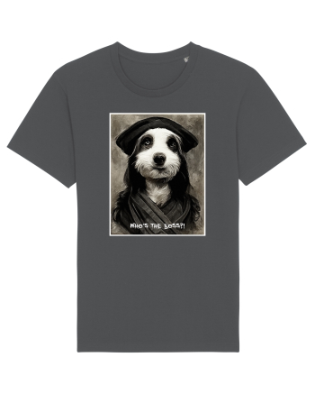 boss dog Anthracite