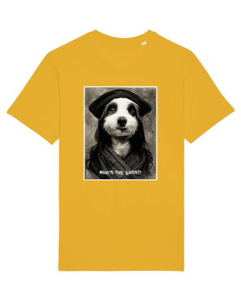 boss dog Spectra Yellow