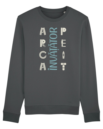 Învățător apreciat Anthracite