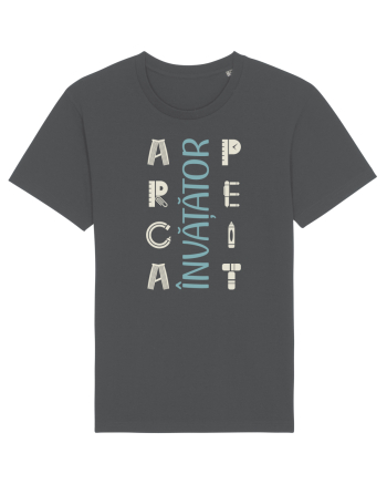 Învățător apreciat Anthracite