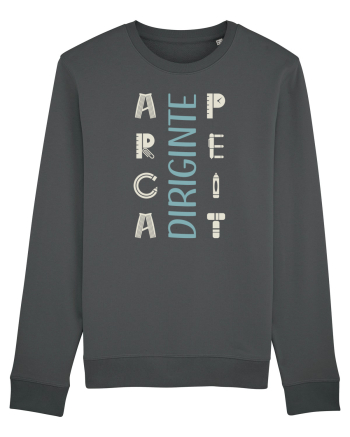 Diriginte apreciat Anthracite