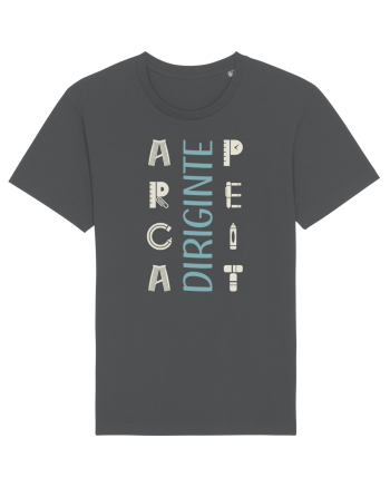 Diriginte apreciat Anthracite
