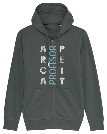 Profesor apreciat Anthracite