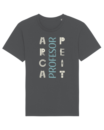Profesor apreciat Anthracite