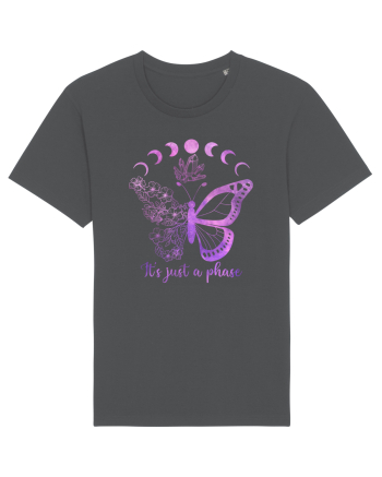 It's Just A Phase Butterfly Anthracite