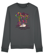 Not All Who Wander Are Lost Bluză mânecă lungă Unisex Rise