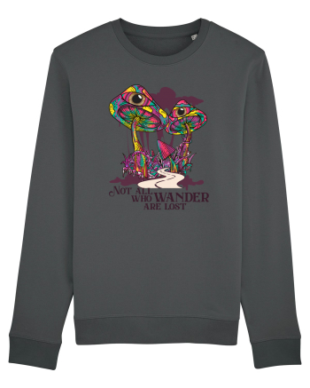 Not All Who Wander Are Lost Anthracite