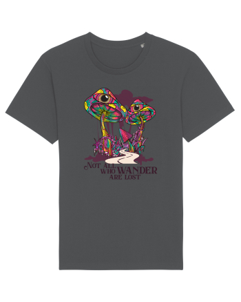 Not All Who Wander Are Lost Anthracite