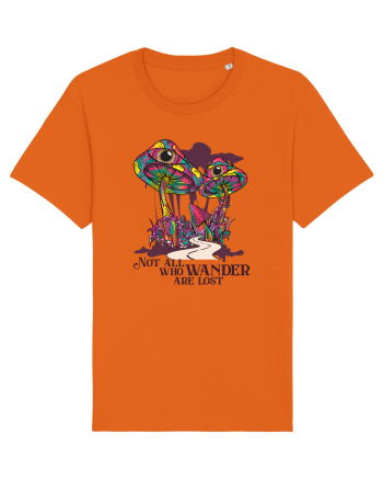 Not All Who Wander Are Lost Bright Orange