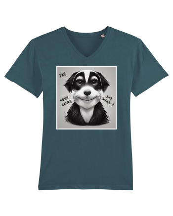smile dog Stargazer