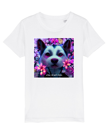 husky little dog White