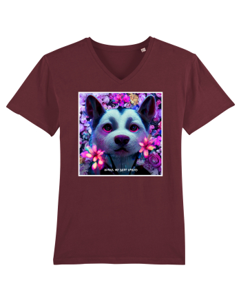 husky little dog Burgundy