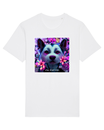 husky little dog White