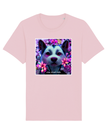husky little dog Cotton Pink