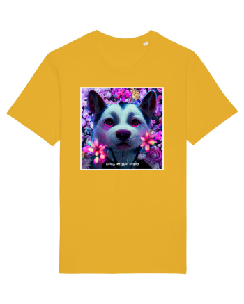 husky little dog Spectra Yellow