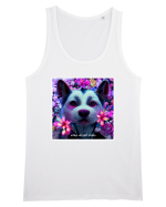 husky little dog Maiou Bărbat Runs