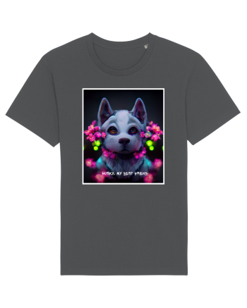 husky puppy Anthracite