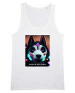 husky siberian dog Maiou Bărbat Runs