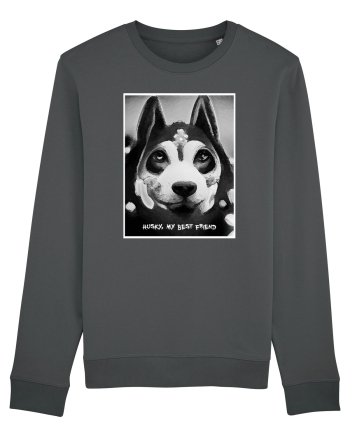 husky black and white Anthracite