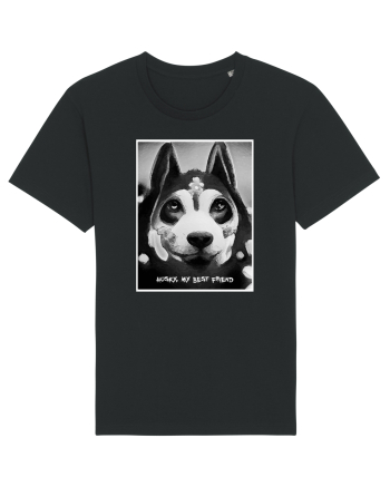 husky black and white Black