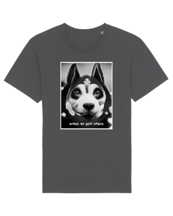 husky black and white Anthracite