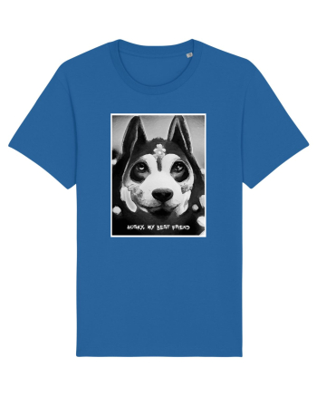 husky black and white Royal Blue