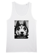 husky black and white Maiou Bărbat Runs